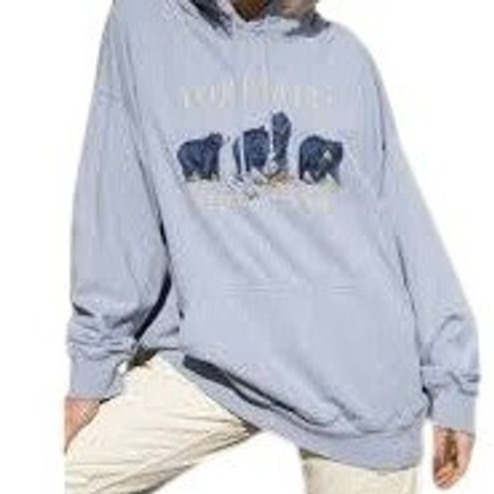 Brandy Melville John Galt Yosemite Blue Bear Embroidered‎ Hoodie Oversized